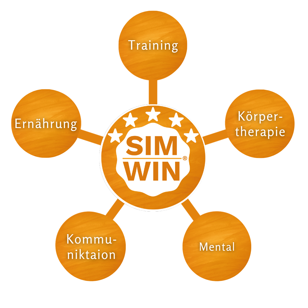 Bild SIM WIN Concept