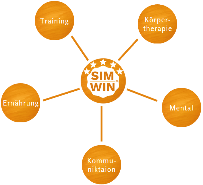 Bild SIM WIN Concept<br />
